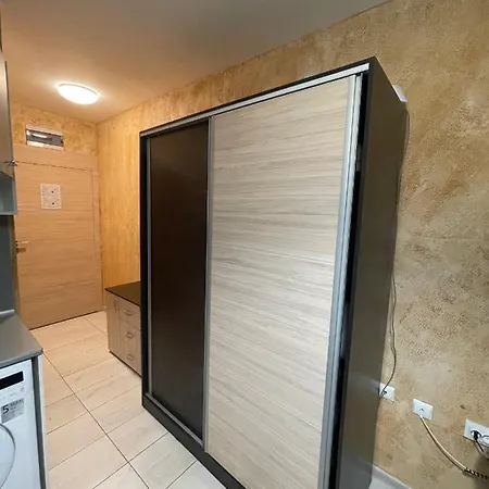 Colonel 955 索菲亞